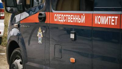 Бастрыкин поручил проверить информацию о сектантском поселке в Подмосковье - newizv.ru - Россия - Московская обл. - Царьград