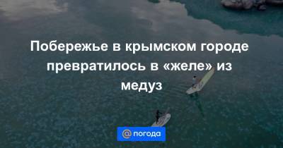 Анна Лысенко - Побережье в крымском городе превратилось в «желе» из медуз - news.mail.ru - Крым