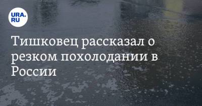 Евгений Тишковец - Роман Вильфанд - Тишковец рассказал о резком похолодании в России. «Зарядят холодные дожди» - ura.news - Россия
