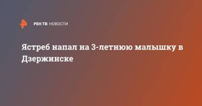 Ястреб напал на 3-летнюю малышку в Дзержинске - ren.tv - Дзержинск