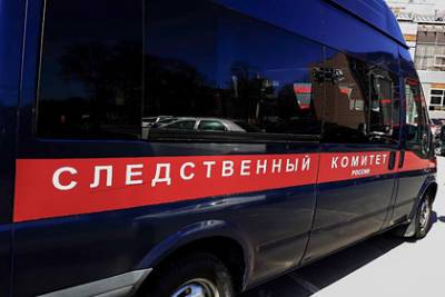 Александр Бастрыкин - Следователи проверят подмосковный «халяльный» поселок на предмет сектантов - lenta.ru - Россия - Московская обл.
