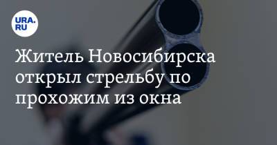 Житель Новосибирска открыл стрельбу по прохожим из окна - ura.news - Россия - Новосибирск - Челябинск - Новосибирская обл.