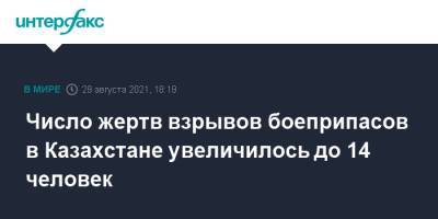 Число жертв взрывов боеприпасов в Казахстане увеличилось до 14 человек - interfax.ru - Москва - Казахстан - Жамбылская обл.