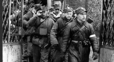 Бойня в селе Сахрынь: как поляки отомстили бандеровцам за Волынь - russian7.ru - Украина - Польша