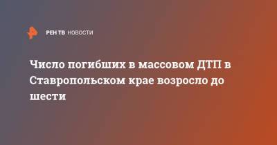 Число погибших в массовом ДТП в Ставропольском крае возросло до шести - ren.tv - Минеральные Воды - Ставрополье