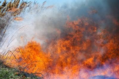 В Астрахани на Городском острове больше 6 часов тушат крупный пожар - volg.mk.ru - Астрахань - Астраханская обл.