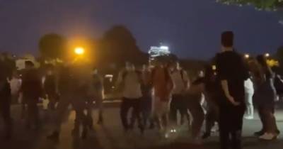 Активисты «Лев против» устроили потасовку с десантниками в московском парке - moslenta.ru