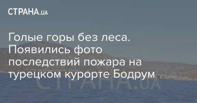 Голые горы без леса. Появились фото последствий пожара на турецком курорте Бодрум - strana.ua - Украина - Турция