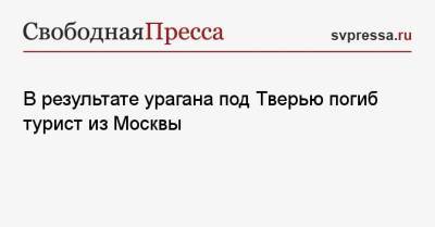 В результате урагана под Тверью погиб турист из Москвы - svpressa.ru - Москва - Тверь - Амурская обл. - Тверская обл. - городское поселение Осташковский
