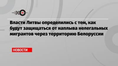 Александр Лукашенко - Власти Литвы определились с тем, как будут защищаться от наплыва нелегальных мигрантов через территорию Белоруссии - echo.msk.ru - Белоруссия - Литва - Вильнюс