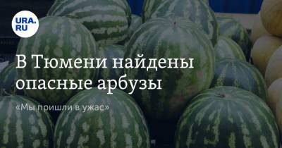 В Тюмени найдены опасные арбузы. «Мы пришли в ужас» - ura.news - Тюмень