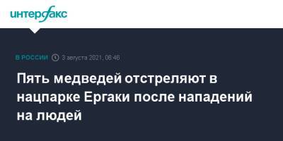 Пять медведей отстреляют в нацпарке Ергаки после нападений на людей - interfax.ru - Москва - Красноярский край