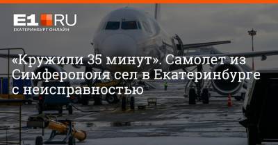 Артем Устюжанин - «Кружили 35 минут». Самолет из Симферополя сел в Екатеринбурге с неисправностью - e1.ru - Екатеринбург - Свердловская обл.