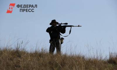 В Красноярском крае отстреляют медведей после нападения на людей - fedpress.ru - Красноярский край - Красноярск - Экология