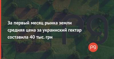 Роман Лещенко - За первый месяц рынка земли средняя цена за украинский гектар составила 40 тыс. грн - thepage.ua - Украина - Кировоградская обл. - Тернопольская обл. - Полтавская обл.