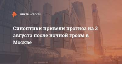 Михаил Леус - Синоптики привели прогноз на 3 августа после ночной грозы в Москве - ren.tv - Москва - Московская обл.
