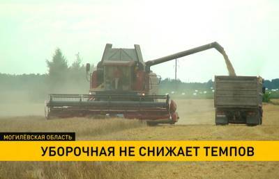 В Могилевской области убрано более 40% площадей зерновых - ont.by - Белоруссия