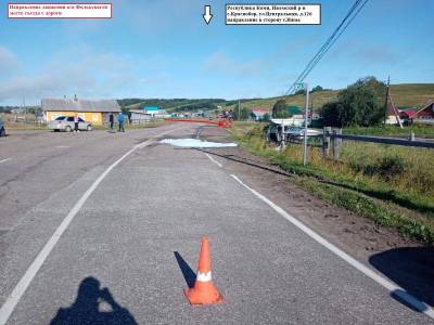 В Ижемском районе водитель пропустил поворот и съехал в кювет, где врезался в столб - komiinform.ru