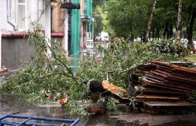 Более 2 тыс. жителей Новгородской области остались без света из-за непогоды - interfax-russia.ru - Новгородская обл. - Новгород