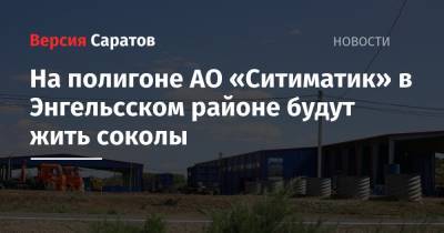 На полигоне АО «Ситиматик» в Энгельсском районе будут жить соколы - nversia.ru - Саратовская обл. - район Энгельсский