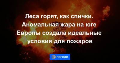 Леса горят, как спички. Аномальная жара на юге Европы создала идеальные условия для пожаров - news.mail.ru - Россия - Украина - Турция - Иран - Азербайджан