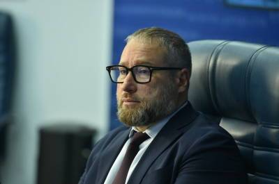 Антон Горелкин - Горелкин призвал ООН создать свод норм для транснациональных IT-гигантов - pnp.ru