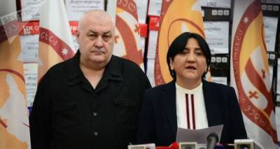 Владимир Путин - Ирма Инашвили - "Альянс патриотов Грузии" обратился за помощью к президенту России - sputnik-georgia.ru - Россия - Грузия - Тбилиси