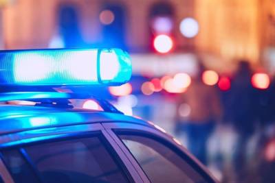 Петербуржцев попросили помочь в поисках пропавшего 12-летнего мальчика - spb.mk.ru - Ленинградская обл. - Санкт-Петербург