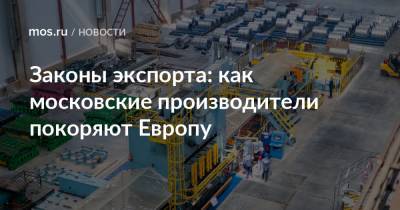 Владимир Ефимов - Законы экспорта: как московские производители покоряют Европу - mos.ru - Москва - Италия - Германия - Финляндия - Голландия
