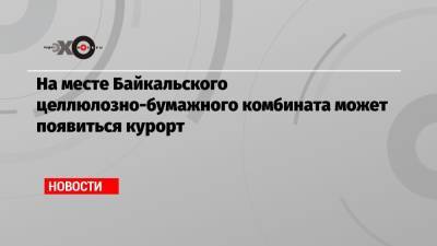 Олег Дерипаска - На месте Байкальского целлюлозно-бумажного комбината может появиться курорт - echo.msk.ru