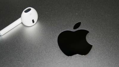 В Петербурге изъяли рекордное число контрафактных аксессуаров Apple - iz.ru - Россия - Санкт-Петербург - Израиль