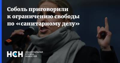 Соболь приговорили к ограничению свободы по «санитарному делу» - nsn.fm - Москва - Россия
