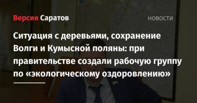 Роман Бусаргин - Ситуация с деревьями, сохранение Волги и Кумысной поляны: при правительстве создали рабочую группу по «экологическому оздоровлению» - nversia.ru - Саратовская обл.