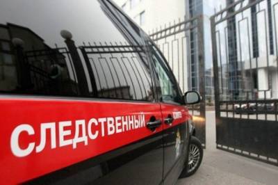 В СК заявили, что похититель девочки из Бийска около месяца следил за ней - aif.ru - Россия - Алтайский край - Бийск