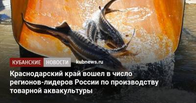 Краснодарский край вошел в число регионов-лидеров России по производству товарной аквакультуры - kubnews.ru - Россия - Краснодарский край