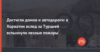 Достигли домов и автодороги: в Хорватии вслед за Турцией вспыхнули лесные пожары - thepage.ua - Украина - Италия - Турция - Хорватия - Греция - Босния и Герцеговина