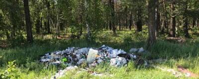 Жители Перми жалуются на свалку мусора на экологической тропе рядом с микрорайоном «Гайва» - runews24.ru - Пермь - район Орджоникидзевский