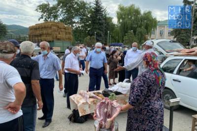 В Новолакском районе состоялась сельскохозяйственная ярмарка - mirmol.ru - район Новолакский