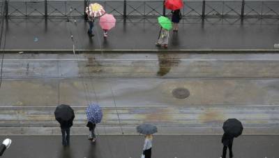 В каналах Петербурга из-за сильных ливней могут появиться радужные разводы - dp.ru - Петербурга