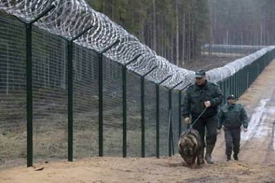 Янис Домбрава - В Латвии предложили разрешить пограничникам стрелять по нелегальным мигрантам - lenta.ru - Белоруссия - Латвия