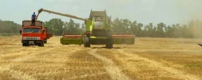 На Ставрополье аграрии собрали более 8,2 млн тонн зерна - runews24.ru - Ставрополье