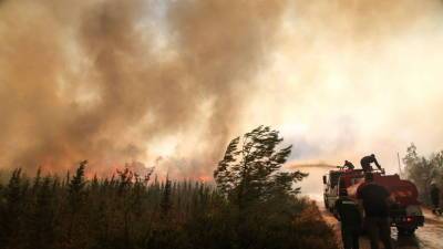 Дмитрий Горин - В АТОР назвали нормальной ситуацию с лесными пожарами в Турции - russian.rt.com - Россия - Турция