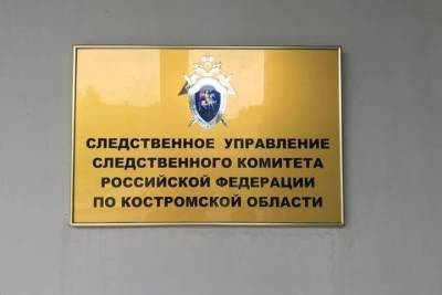 Следственный комитет отчитался о раскрытии «новогоднего убийства» в Костроме - kostroma.mk.ru - Кострома