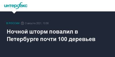 Ночной шторм повалил в Петербурге почти 100 деревьев - interfax.ru - Москва - Санкт-Петербург - Петербург