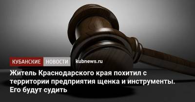 Житель Краснодарского края похитил с территории предприятия щенка и инструменты. Ему грозит до 7 лет колонии - kubnews.ru - Краснодарский край