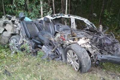 Водитель VW Passat погиб при столкновении с грузовиком в Чувашии - cheb.mk.ru - респ. Чувашия