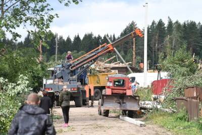 Небывалый ураган в Андреаполе: кому горе, кому - повод для хайпа - tver.mk.ru - Россия - Ленинградская обл. - Псковская обл. - Новгородская обл.