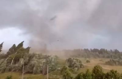 Очевидцы опубликовали видео мощного торнадо в Тверской области - znak.com - Тверская обл. - Андреаполь