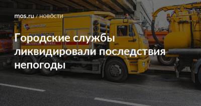 Городские службы ликвидировали последствия непогоды - mos.ru - Москва - Россия