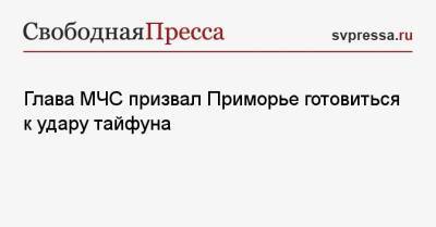 Евгений Зиничев - Глава МЧС призвал Приморье готовиться к удару тайфуна - svpressa.ru - Россия - Амурская обл. - Хабаровский край - Приморье край - Еврейская обл.